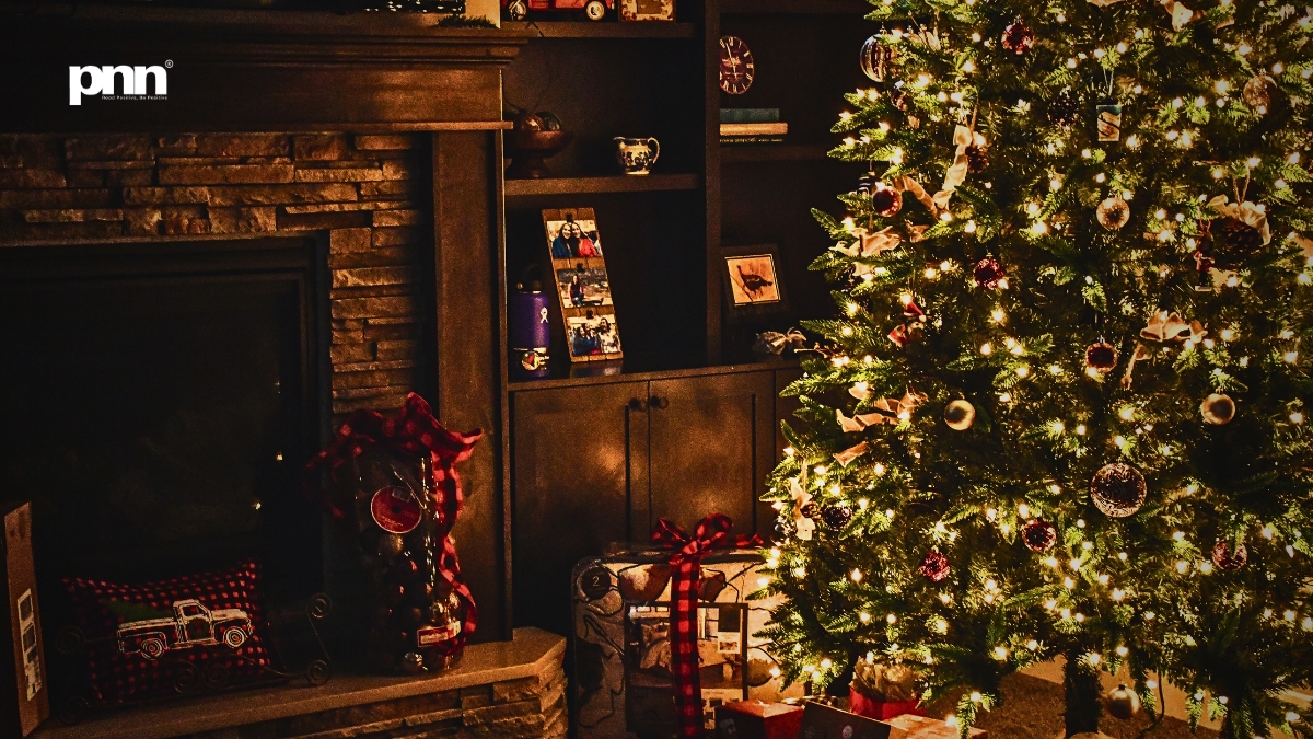 PNN-2025-12-27T145841338